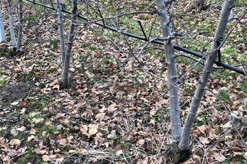 Terra a Dro, Trento, Dro - € 142.000 | Ref: T-AG-024 - foto 4