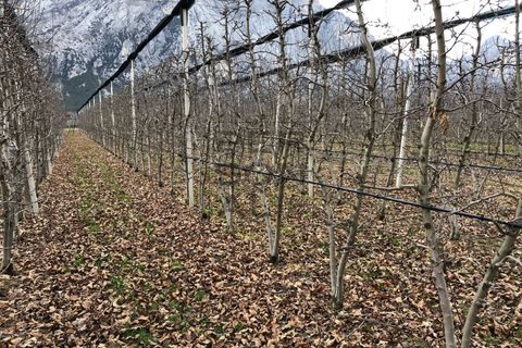 Terra a Dro, Trento, Dro - € 142.000 | Ref: T-AG-024 - foto 5