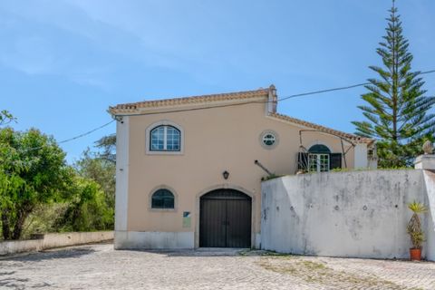 Farm i Alenquer, Lisbon, Alenquer - € 2.800.000 | Ref: VORTEX-001 - foto 5