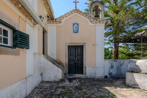 Farm i Alenquer, Lisbon, Alenquer - € 2.800.000 | Ref: VORTEX-001 - foto 4