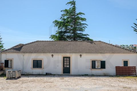 Farm i Alenquer, Lisbon, Alenquer - € 2.800.000 | Ref: VORTEX-001 - foto 30