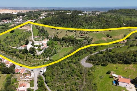Farm i Alenquer, Lisbon, Alenquer - € 2.800.000 | Ref: VORTEX-001 - foto 6