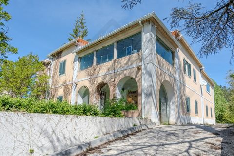 Farm i Alenquer, Lisbon, Alenquer - € 2.800.000 | Ref: VORTEX-001 - foto 3