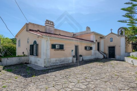 Farm i Alenquer, Lisbon, Alenquer - € 2.800.000 | Ref: VORTEX-001 - foto 31