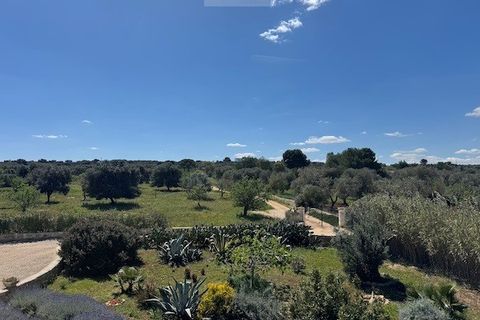 Villa i Carovigno, Brindisi, Carovigno - € 875.000 | Ref: vp25 pool villa - foto 26