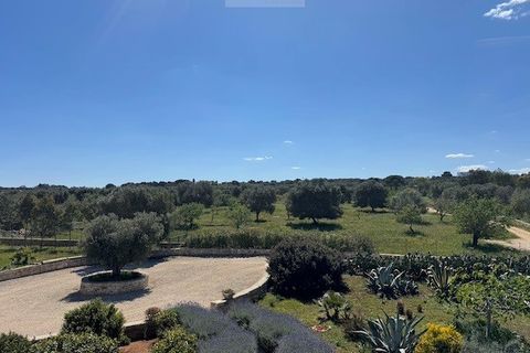 Villa i Carovigno, Brindisi, Carovigno - € 875.000 | Ref: vp25 pool villa - foto 27