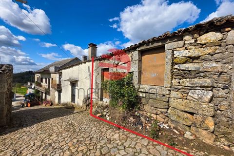 Landejendom i Poco do Canto, Guarda, Poco do Canto - € 20.000 | Ref: 498/MDA - foto 13