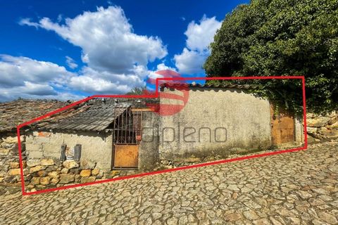 Landejendom i Poco do Canto, Guarda, Poco do Canto - € 20.000 | Ref: 498/MDA - foto 14