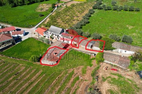 Landejendom i Poco do Canto, Guarda, Poco do Canto - € 20.000 | Ref: 498/MDA - foto 16