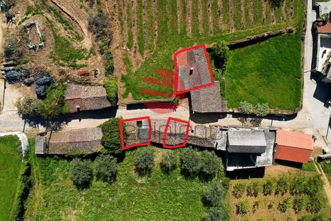 Landejendom i Poco do Canto, Guarda, Poco do Canto - € 20.000 | Ref: 498/MDA - foto 17