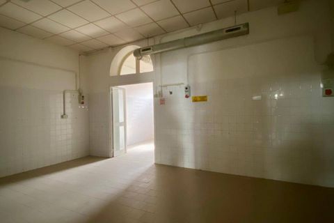 Erhvervsejendom i Vecchiano, Pisa, Vecchiano - € 95.000 | Ref: v030428 - foto 8
