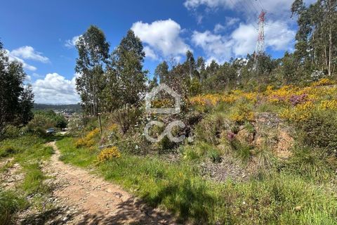 Helårsgrund i Coimbra, Coimbra, Coimbra - € 55.000 | Ref: 385/T/00864 - foto 2