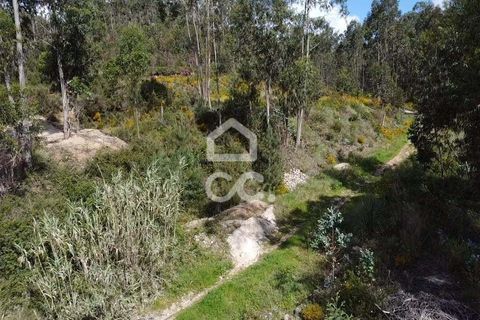 Helårsgrund i Coimbra, Coimbra, Coimbra - € 55.000 | Ref: 385/T/00864 - foto 8