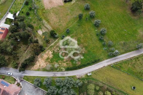 Helårsgrund i Leiria, Leiria, Leiria - € 69.500 | Ref: 385/T/00869 - foto 8