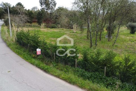 Helårsgrund i Leiria, Leiria, Leiria - € 69.500 | Ref: 385/T/00869 - foto 10
