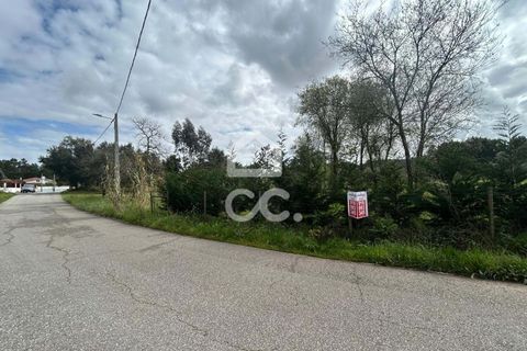 Helårsgrund i Leiria, Leiria, Leiria - € 69.500 | Ref: 385/T/00869 - foto 11