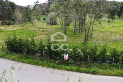 Helårsgrund i Leiria, Leiria, Leiria - € 69.500 | Ref: 385/T/00869 - foto 12