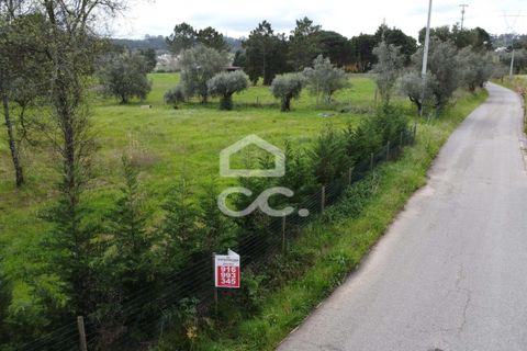 Helårsgrund i Leiria, Leiria, Leiria - € 69.500 | Ref: 385/T/00869 - foto 13