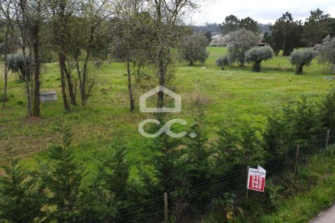 Helårsgrund i Leiria, Leiria, Leiria - € 69.500 | Ref: 385/T/00869 - foto 16