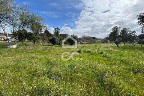 Helårsgrund i Leiria, Leiria, Leiria - € 69.500 | Ref: 385/T/00869 - foto 19