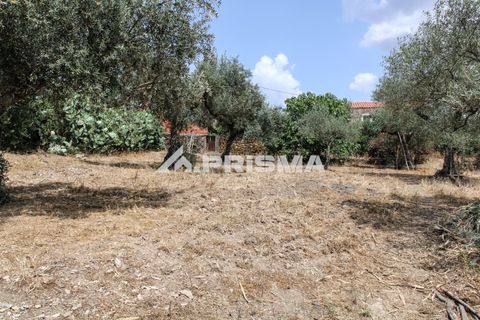 Stadthaus in Castelo Branco, Castelo Branco, Castelo Branco - € 45.000 | Ref: PP4164 - Foto 15