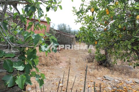 Stadthaus in Castelo Branco, Castelo Branco, Castelo Branco - € 45.000 | Ref: PP4164 - Foto 16