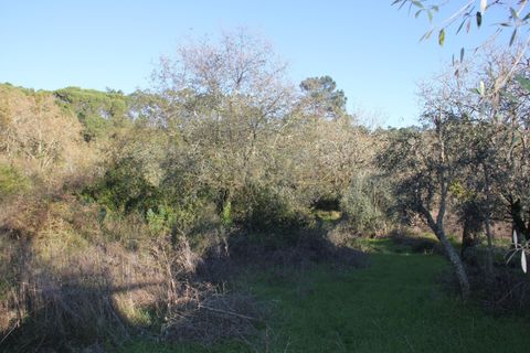 Terra a Condeixa-a-Nova, Coimbra, Condeixa-a-Nova - € 28.600 | Ref: C0444-00644 - foto 3