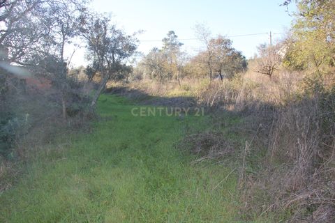 Terra a Condeixa-a-Nova, Coimbra, Condeixa-a-Nova - € 28.600 | Ref: C0444-00644 - foto 5