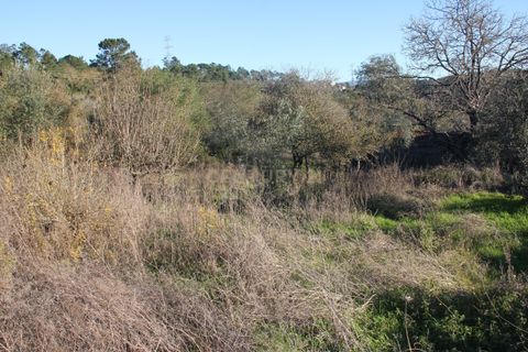 Terra a Condeixa-a-Nova, Coimbra, Condeixa-a-Nova - € 28.600 | Ref: C0444-00644 - foto 7