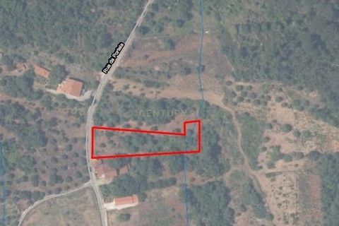 Terra a Condeixa-a-Nova, Coimbra, Condeixa-a-Nova - € 28.600 | Ref: C0444-00644 - foto 8