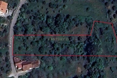 Terra a Condeixa-a-Nova, Coimbra, Condeixa-a-Nova - € 28.600 | Ref: C0444-00644 - foto 9