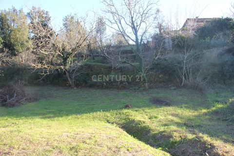 Terra a Condeixa-a-Nova, Coimbra, Condeixa-a-Nova - € 25.900 | Ref: C0444-00643 - foto 3
