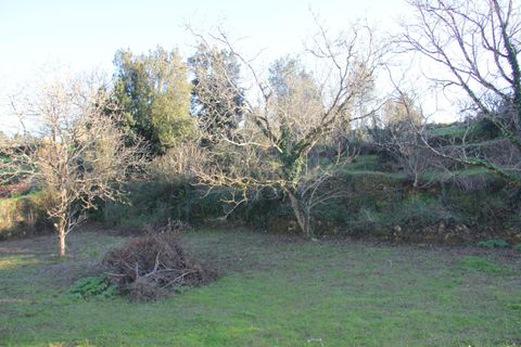 Terra a Condeixa-a-Nova, Coimbra, Condeixa-a-Nova - € 25.900 | Ref: C0444-00643 - foto 5