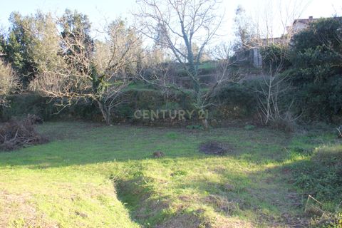 Terra a Condeixa-a-Nova, Coimbra, Condeixa-a-Nova - € 25.900 | Ref: C0444-00643 - foto 6