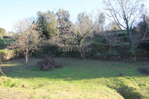 Terra a Condeixa-a-Nova, Coimbra, Condeixa-a-Nova - € 25.900 | Ref: C0444-00643 - foto 9