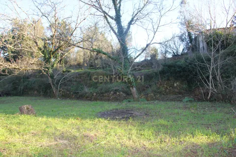 Terra a Condeixa-a-Nova, Coimbra, Condeixa-a-Nova - € 25.900 | Ref: C0444-00643 - foto 13