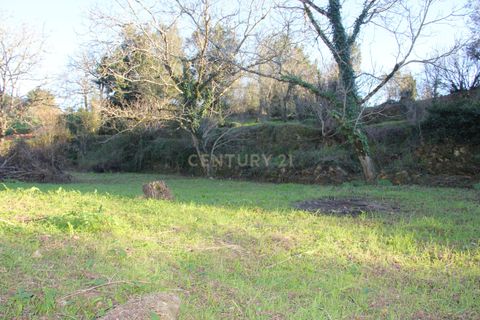 Terra a Condeixa-a-Nova, Coimbra, Condeixa-a-Nova - € 25.900 | Ref: C0444-00643 - foto 14