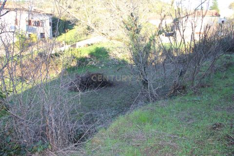 Terra a Condeixa-a-Nova, Coimbra, Condeixa-a-Nova - € 25.900 | Ref: C0444-00643 - foto 15