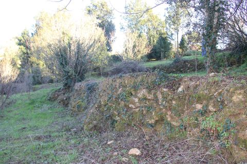 Terra a Condeixa-a-Nova, Coimbra, Condeixa-a-Nova - € 25.900 | Ref: C0444-00643 - foto 17