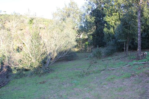 Terra a Condeixa-a-Nova, Coimbra, Condeixa-a-Nova - € 25.900 | Ref: C0444-00643 - foto 18