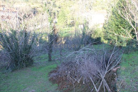 Terra a Condeixa-a-Nova, Coimbra, Condeixa-a-Nova - € 25.900 | Ref: C0444-00643 - foto 20