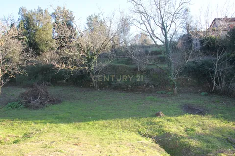 Terra a Condeixa-a-Nova, Coimbra, Condeixa-a-Nova - € 25.900 | Ref: C0444-00643 - foto 21