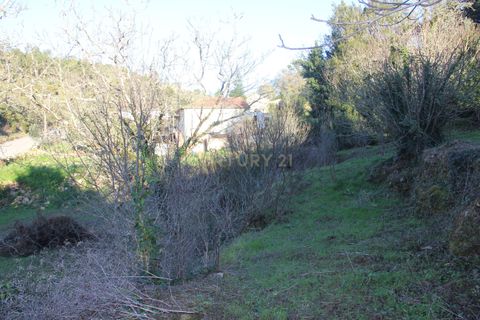 Terra a Condeixa-a-Nova, Coimbra, Condeixa-a-Nova - € 25.900 | Ref: C0444-00643 - foto 22