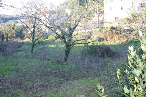 Terra a Condeixa-a-Nova, Coimbra, Condeixa-a-Nova - € 25.900 | Ref: C0444-00643 - foto 24