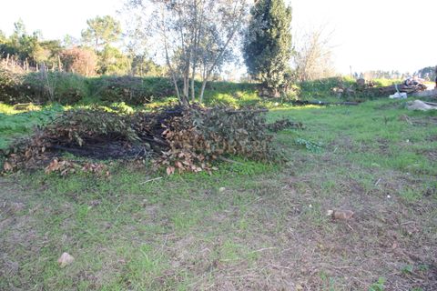 Terra a Condeixa-a-Nova, Coimbra, Condeixa-a-Nova - € 25.900 | Ref: C0444-00643 - foto 26