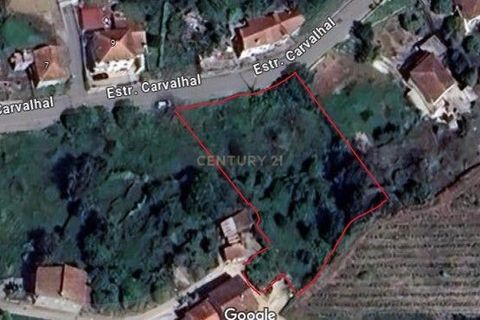 Terra a Condeixa-a-Nova, Coimbra, Condeixa-a-Nova - € 25.900 | Ref: C0444-00643 - foto 27