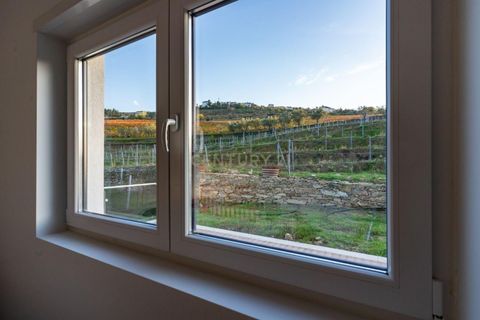 Villa i Tabuaco, Viseu, Tabuaco - € 500.000 | Ref: C0444-00642 - foto 21