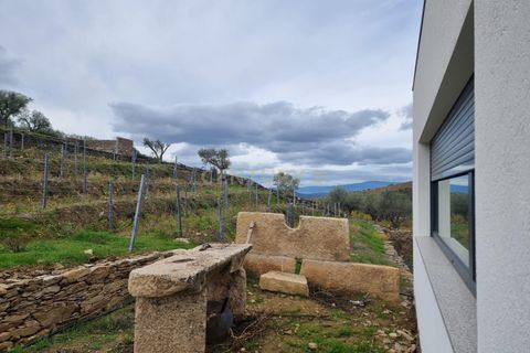 Villa i Tabuaco, Viseu, Tabuaco - € 500.000 | Ref: C0444-00642 - foto 40