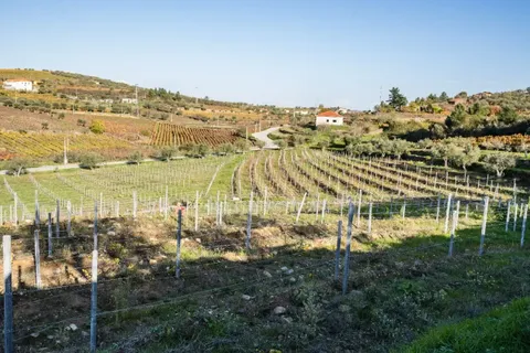 Villa i Tabuaco, Viseu, Tabuaco - € 500.000 | Ref: C0444-00642 - foto 46