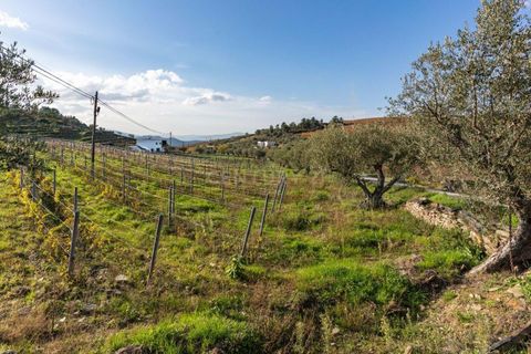 Villa i Tabuaco, Viseu, Tabuaco - € 500.000 | Ref: C0444-00642 - foto 47
